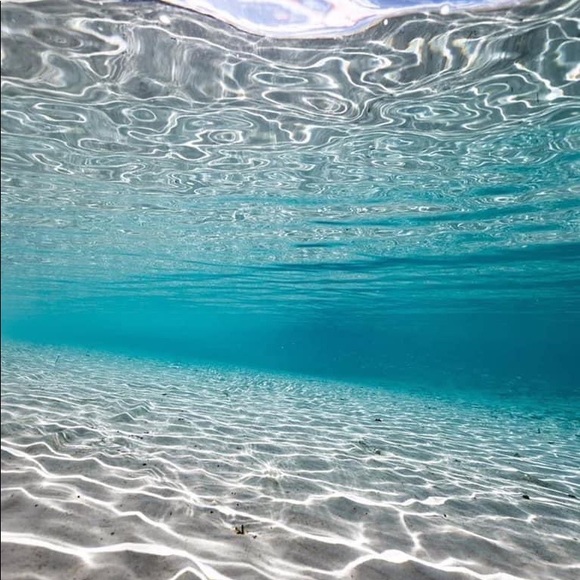 Meet your Posher, Christy - Picture 1 of 1